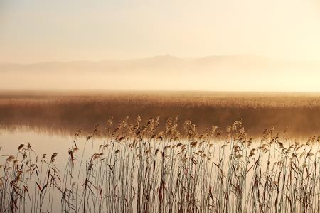22 foto Blaž Žnidaršič